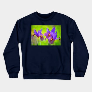 Iris 65 Crewneck Sweatshirt